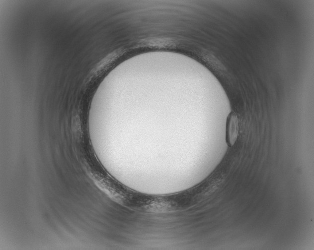 X0000080780256200701051335