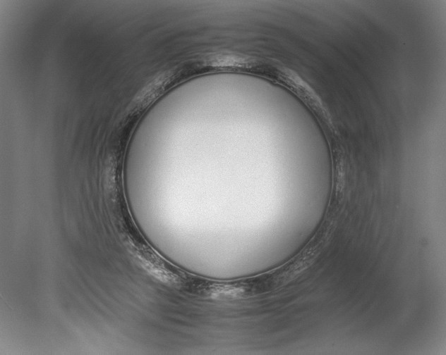 X0000080780257200701051335