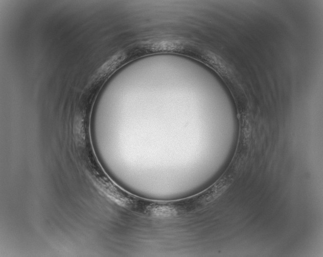 X0000080780258200701051335