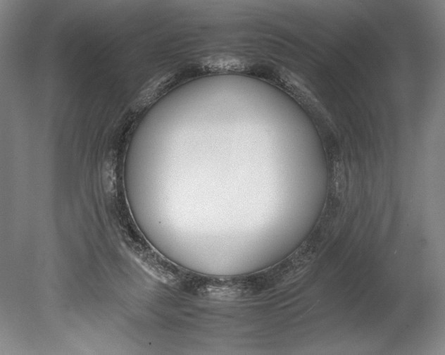 X0000080780259200701051335