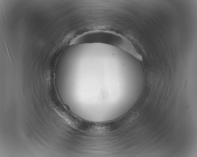X0000080780260200701051335