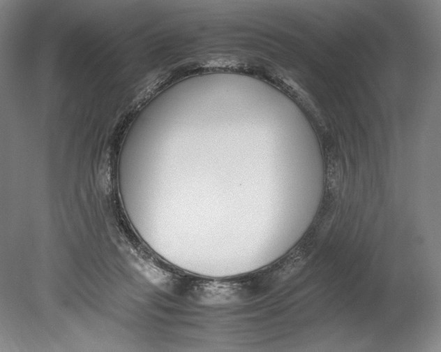 X0000080780261200701051335