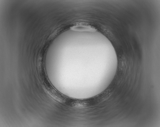 X0000080780263200701051335