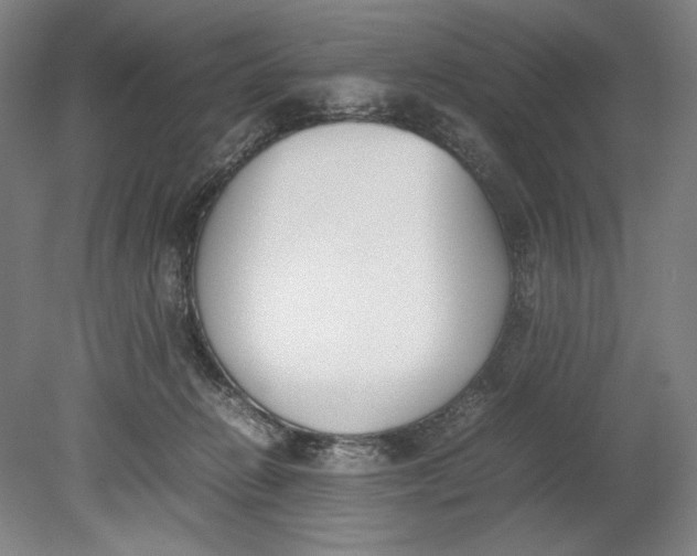 X0000080780270200701051335