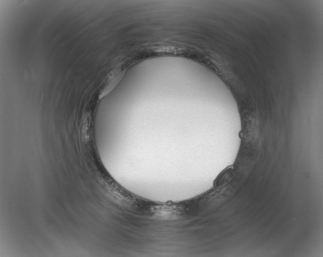 X0000080780273200701051335