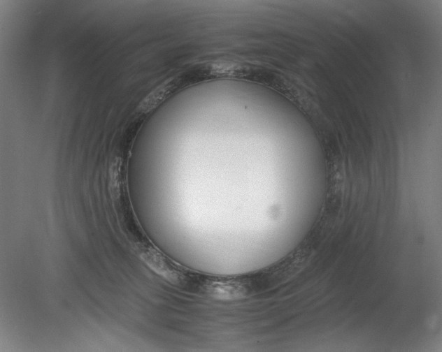 X0000080780275200701051335