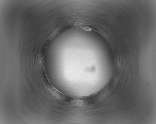 X0000080780276200701051335