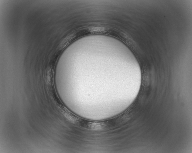 X0000080780277200701051335