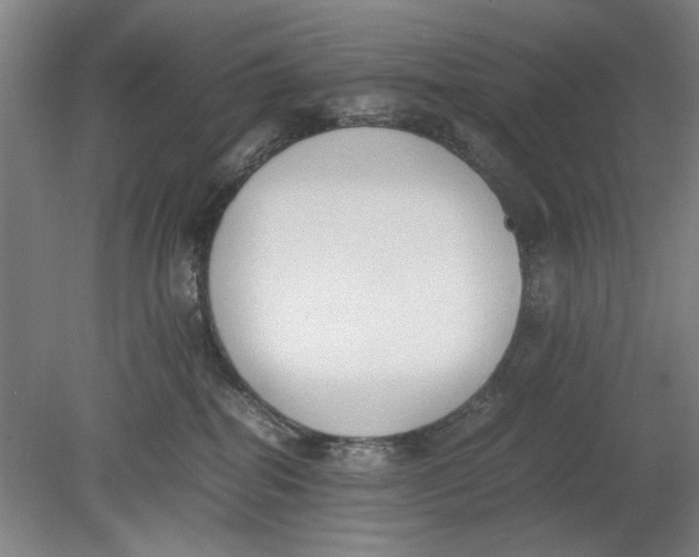 X0000080780282200701051335