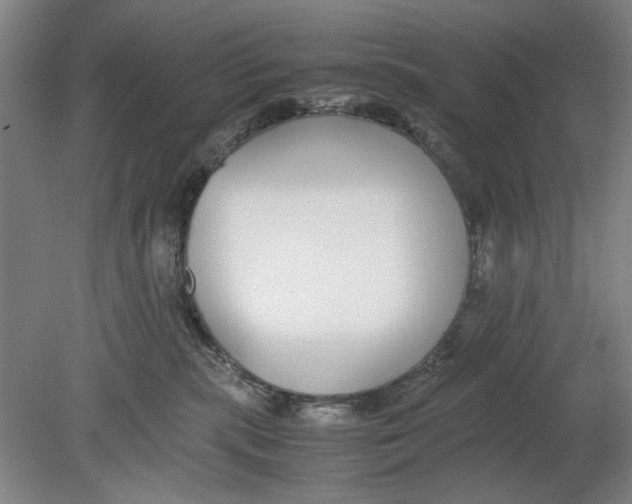 X0000080780283200701051335