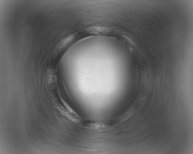 X0000080780284200701051335