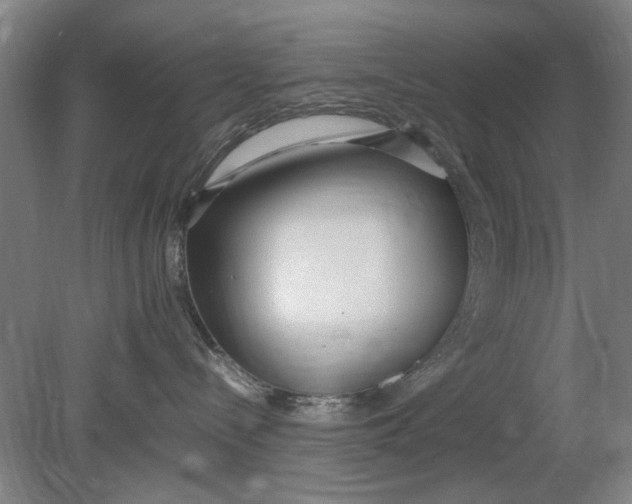 X0000080780288200701051335