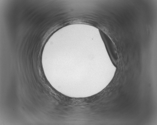 X0000080780289200701051335