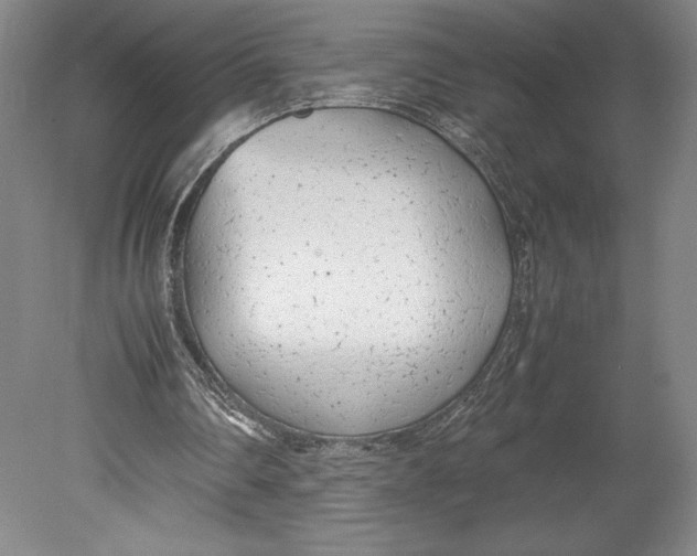 X0000080780290200701051335