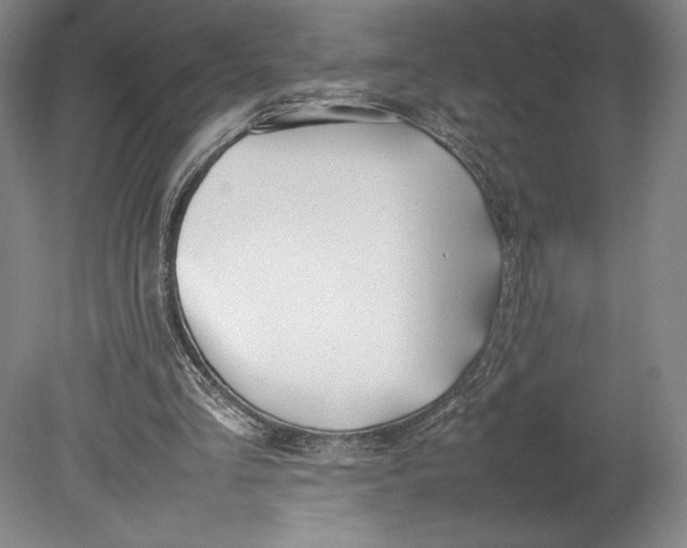 X0000080780293200701051335