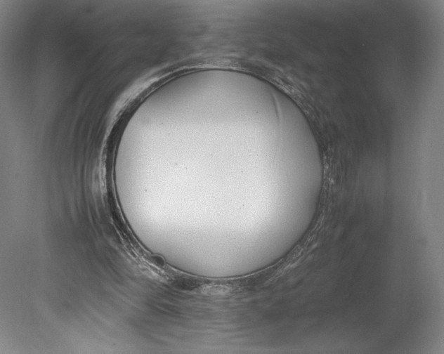 X0000080780294200701051335