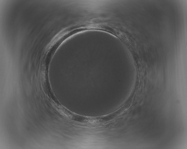 X0000080780295200701051334