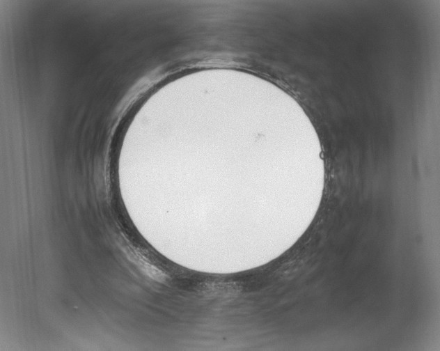 X0000080780296200701051334