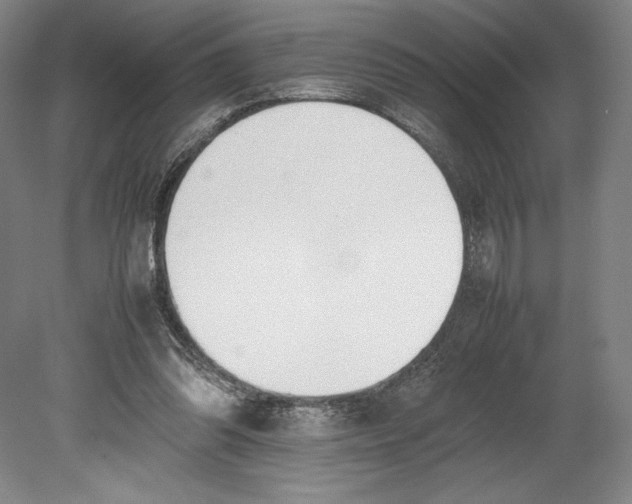 X0000080780302200701051334