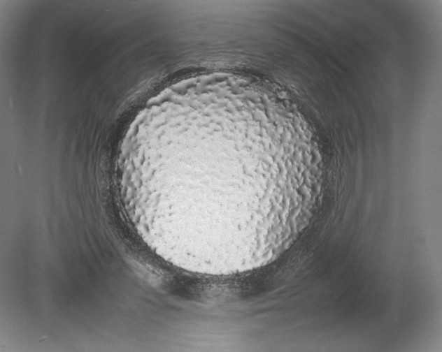 X0000080780303200701051334