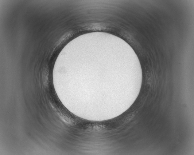 X0000080780304200701051334
