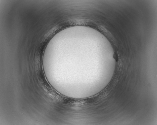 X0000080780306200701051334