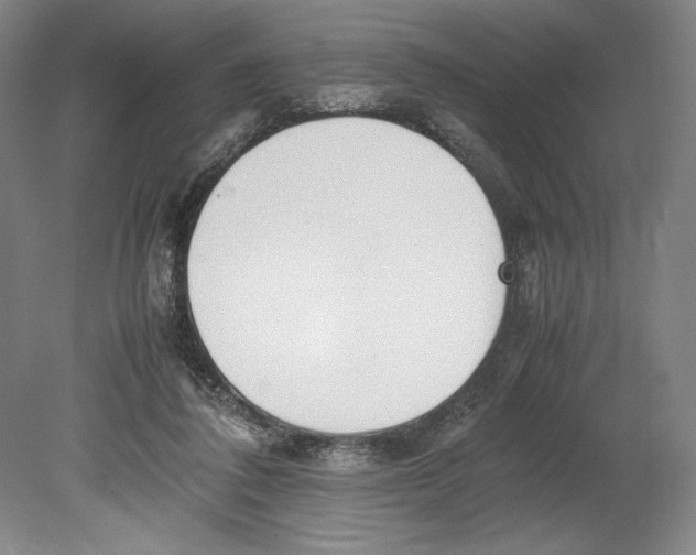 X0000080780308200701051334