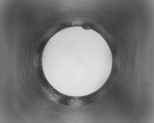 X0000080780311200701051334