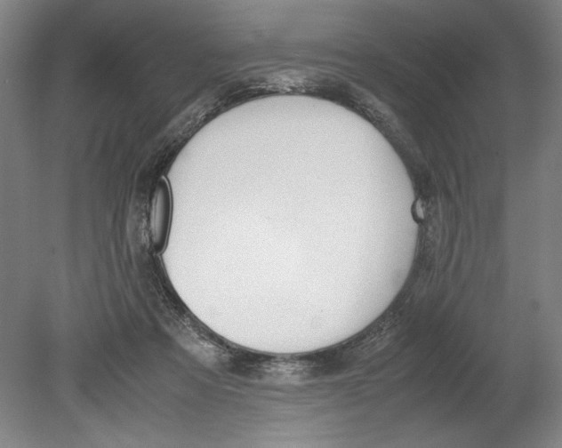 X0000080780313200701051334