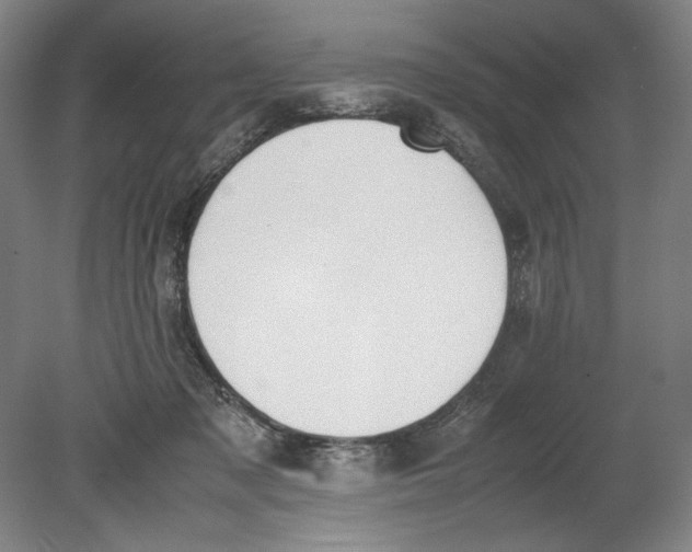 X0000080780317200701051334