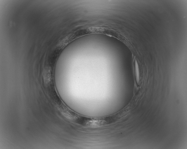 X0000080780323200701051334