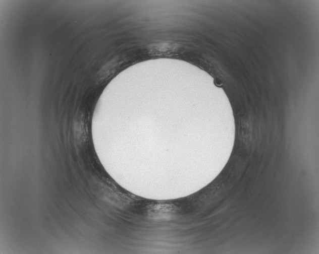 X0000080780324200701051334