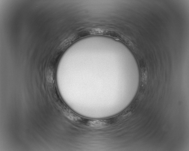 X0000080780331200701051334