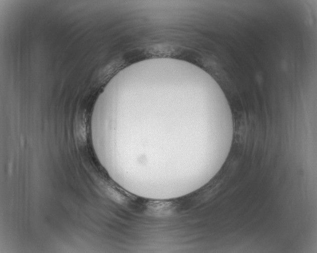 X0000080780334200701051334