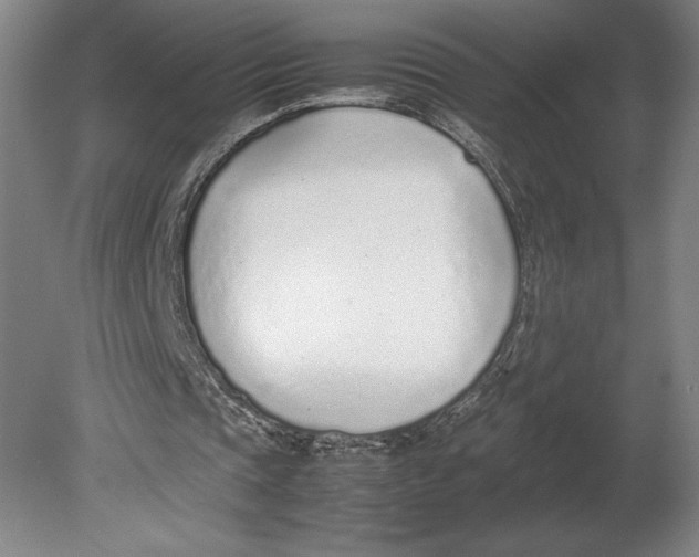 X0000080780337200701051333