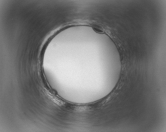X0000080780342200701051333