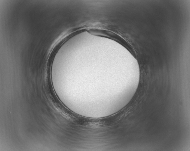 X0000080780344200701051333