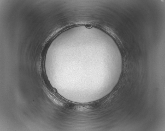 X0000080780346200701051333