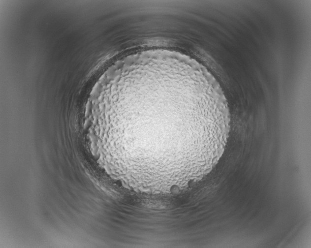 X0000080780347200701051333