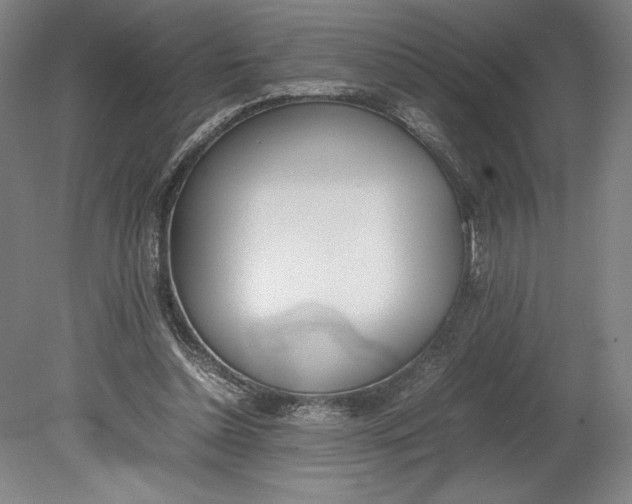 X0000080780348200701051333