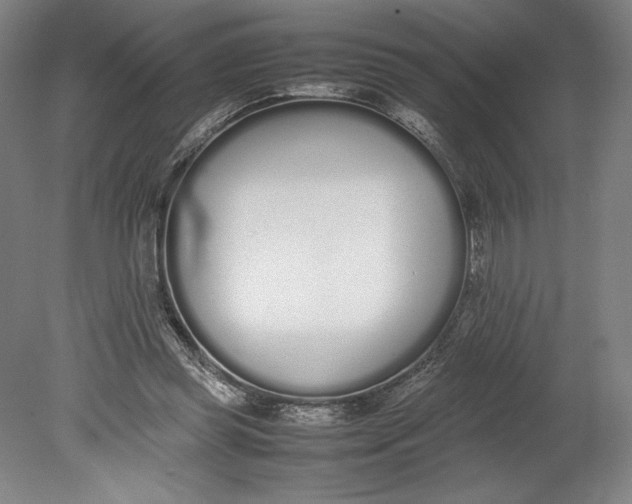 X0000080780349200701051333