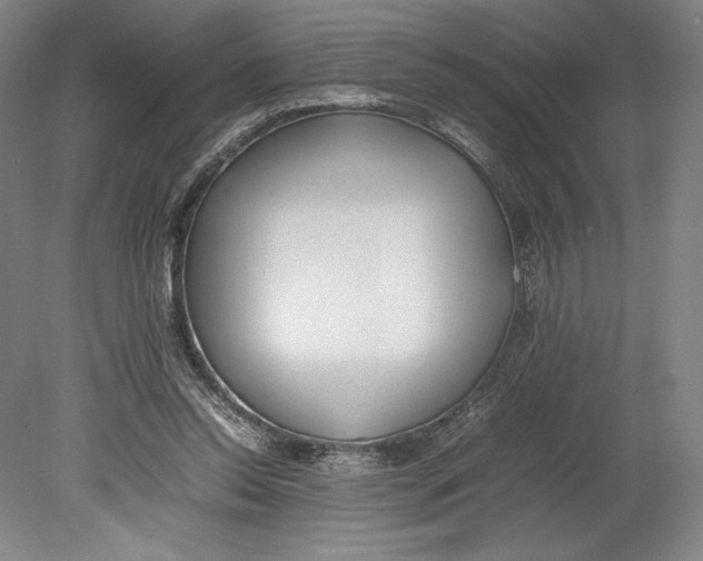 X0000080780350200701051333