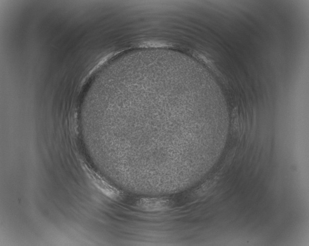 X0000080780351200701051333