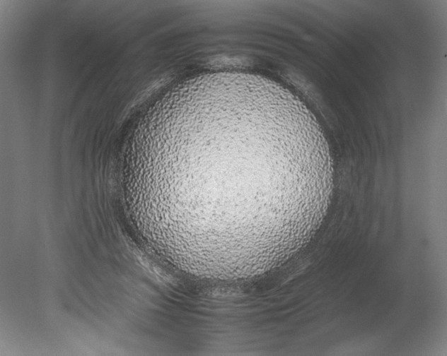X0000080780353200701051333