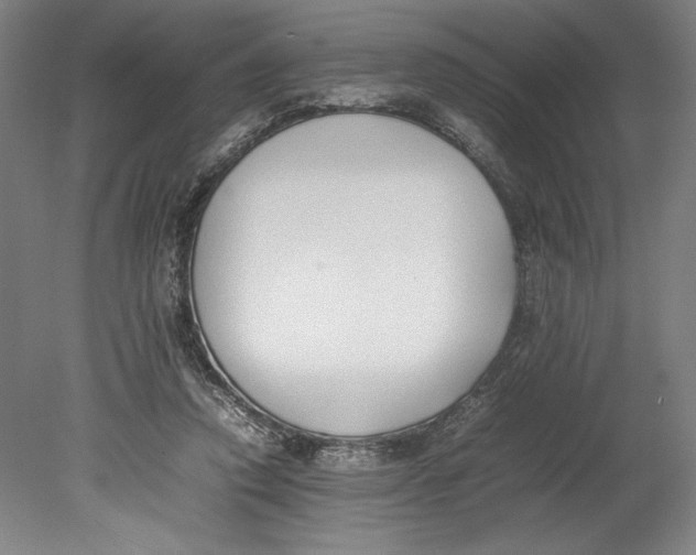 X0000080780354200701051333