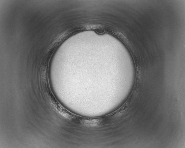 X0000080780357200701051333