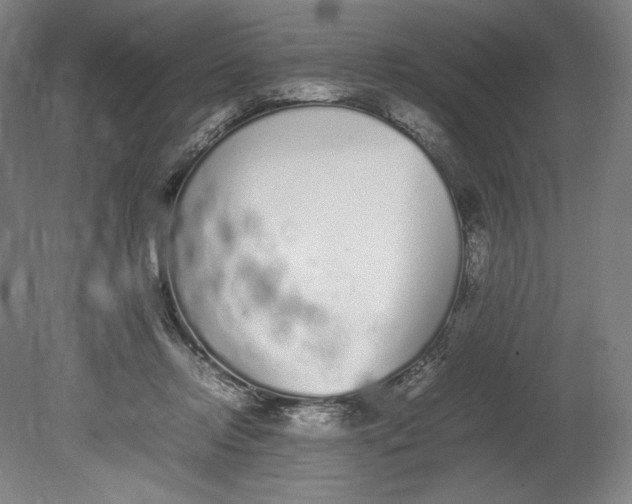 X0000080780358200701051333