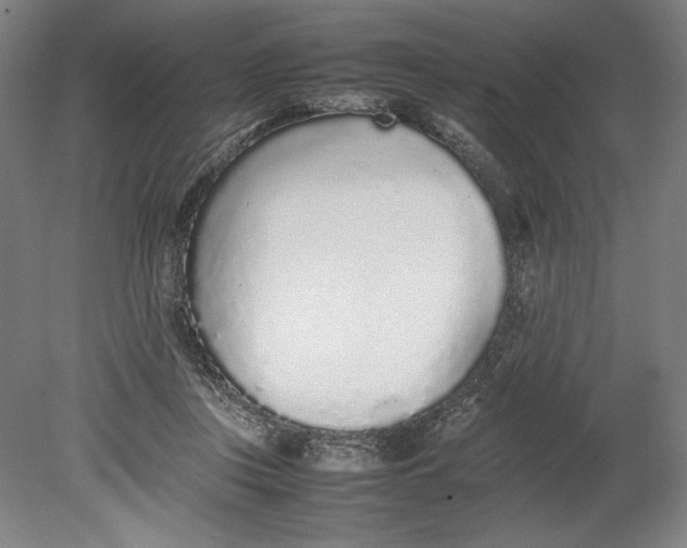 X0000080780359200701051333