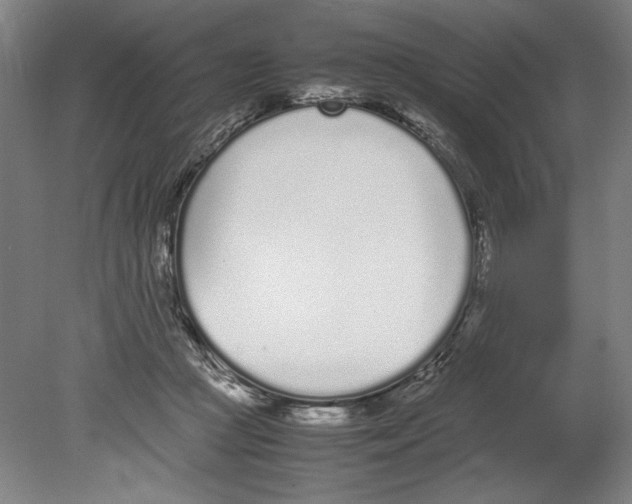 X0000080780361200701051333