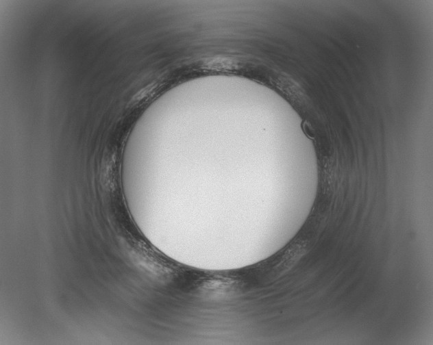 X0000080780364200701051333